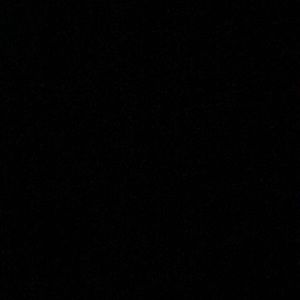 Meet your Posher, Evelyn